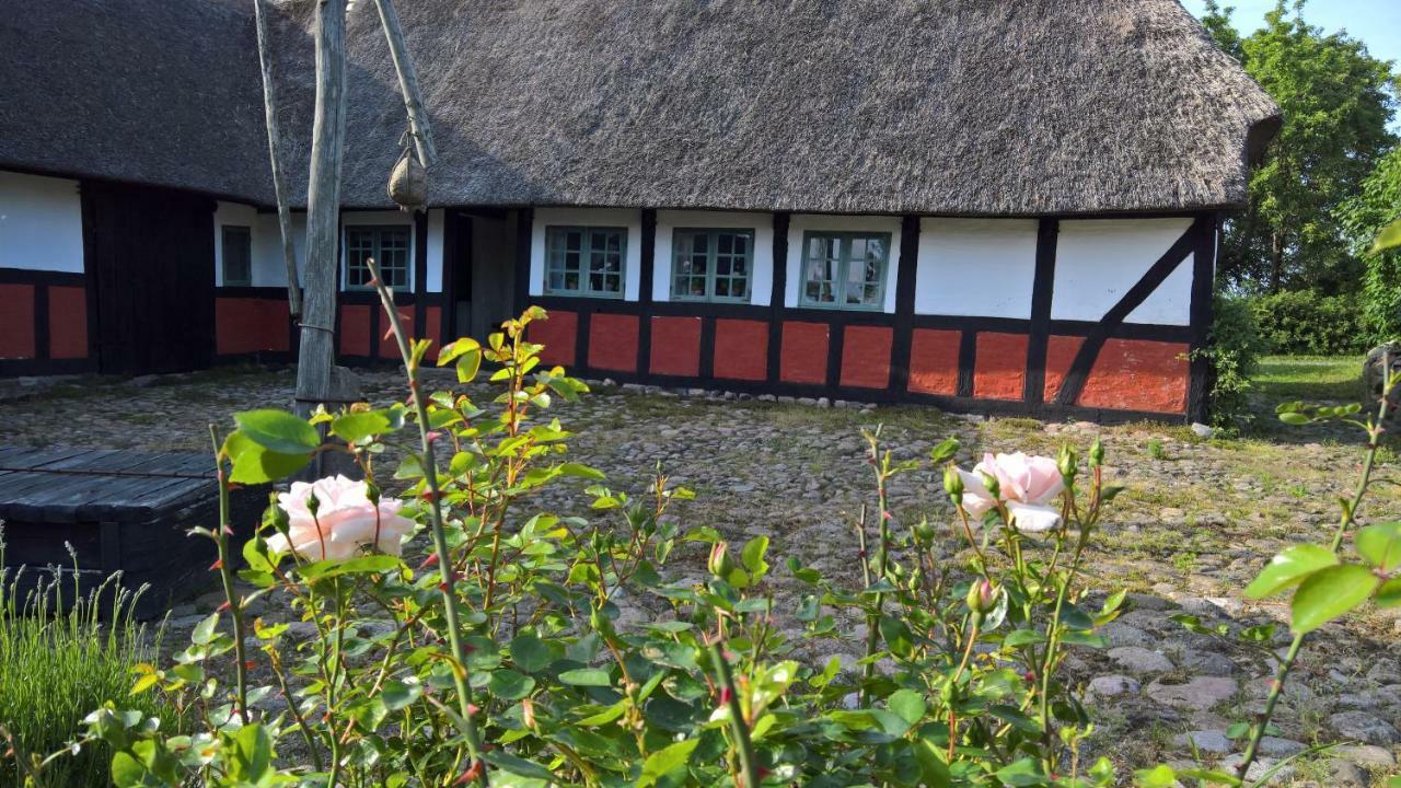 Thurup Hus Assens Exterior photo